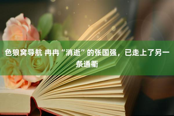 色狼窝导航 冉冉“消逝”的张国强，已走上了另一条通衢