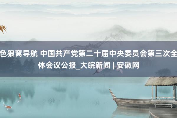 色狼窝导航 中国共产党第二十届中央委员会第三次全体会议公报_大皖新闻 | 安徽网