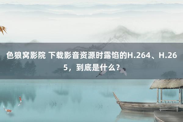 色狼窝影院 下载影音资源时露馅的H.264、H.265，到底是什么？