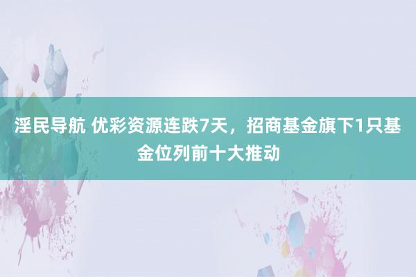 淫民导航 优彩资源连跌7天，招商基金旗下1只基金位列前十大推动