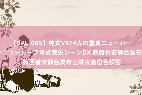 【SAL-065】純女VS14人の童貞ニューハーフ 二度と見れないニューハーフ童貞喪失シーンDX 陕西省安静台发布山洪灾害橙色预警