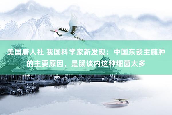 美国唐人社 我国科学家新发现：中国东谈主臃肿的主要原因，是肠谈内这种细菌太多