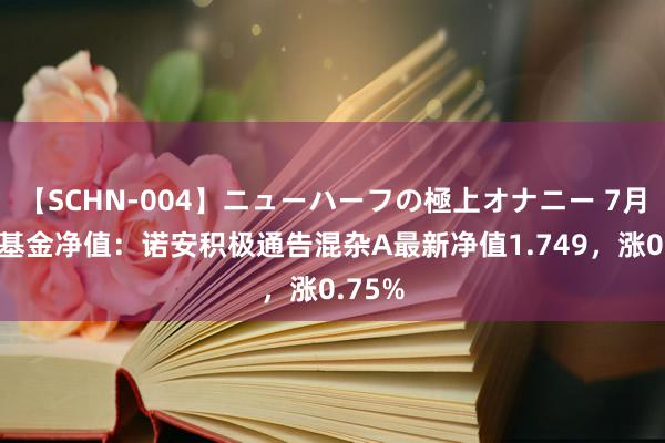 【SCHN-004】ニューハーフの極上オナニー 7月26日基金净值：诺安积极通告混杂A最新净值1.749，涨0.75%