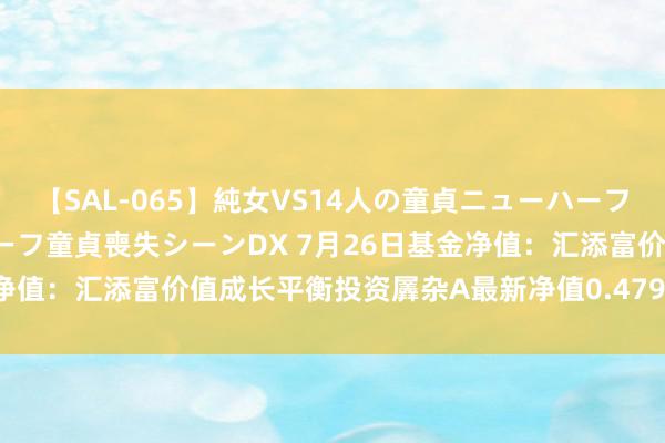 【SAL-065】純女VS14人の童貞ニューハーフ 二度と見れないニューハーフ童貞喪失シーンDX 7月26日基金净值：汇添富价值成长平衡投资羼杂A最新净值0.4793，涨1.12%