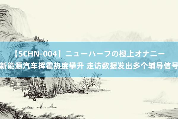 【SCHN-004】ニューハーフの極上オナニー 新能源汽车挥霍热度攀升 走访数据发出多个辅导信号