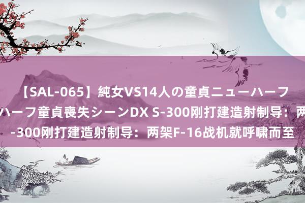 【SAL-065】純女VS14人の童貞ニューハーフ 二度と見れないニューハーフ童貞喪失シーンDX S-300刚打建造射制导：两架F-16战机就呼啸而至