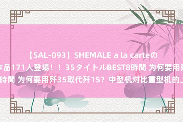 【SAL-093】SHEMALE a la carteの歴史 2008～2011 国内作品171人登場！！35タイトルBEST8時間 为何要用歼35取代歼15？中型机对比重型机的上风在那儿呢？