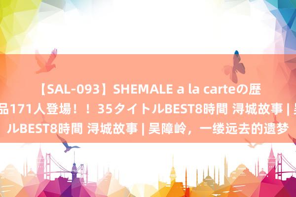 【SAL-093】SHEMALE a la carteの歴史 2008～2011 国内作品171人登場！！35タイトルBEST8時間 浔城故事 | 吴障岭，一缕远去的遗梦