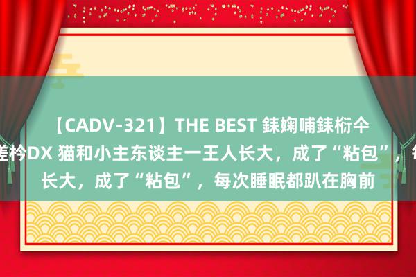 【CADV-321】THE BEST 銇婅哺銇椼仐銇俱仚銆?50浜?鏅傞枔DX 猫和小主东谈主一王人长大，成了“粘包”，每次睡眠都趴在胸前