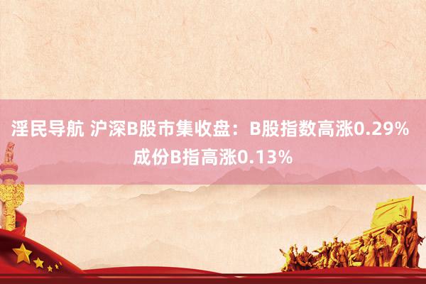 淫民导航 沪深B股市集收盘：B股指数高涨0.29% 成份B指高涨0.13%