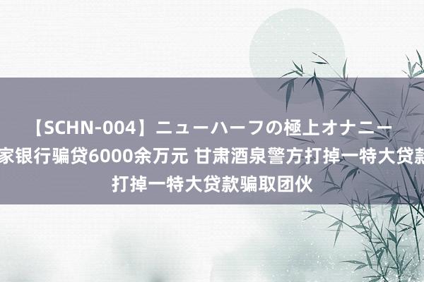 【SCHN-004】ニューハーフの極上オナニー 在宇宙21家银行骗贷6000余万元 甘肃酒泉警方打掉一特大贷款骗取团伙