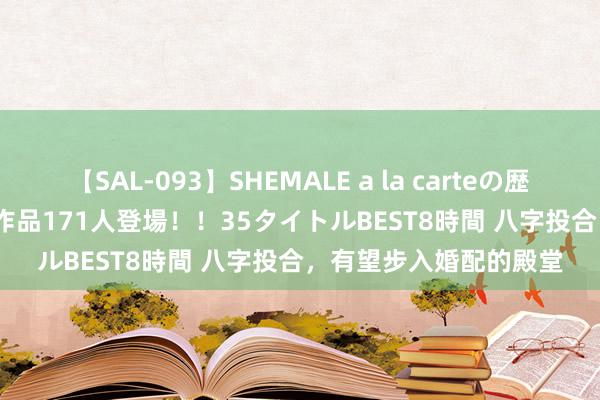 【SAL-093】SHEMALE a la carteの歴史 2008～2011 国内作品171人登場！！35タイトルBEST8時間 八字投合，有望步入婚配的殿堂