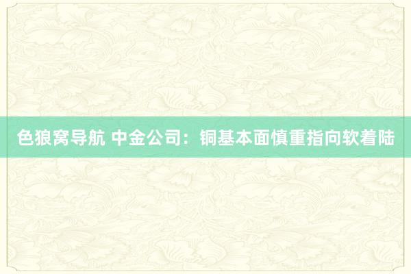 色狼窝导航 中金公司：铜基本面慎重指向软着陆