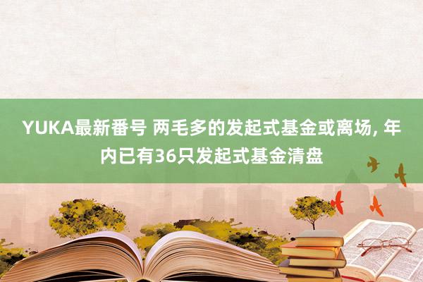 YUKA最新番号 两毛多的发起式基金或离场, 年内已有36只发起式基金清盘