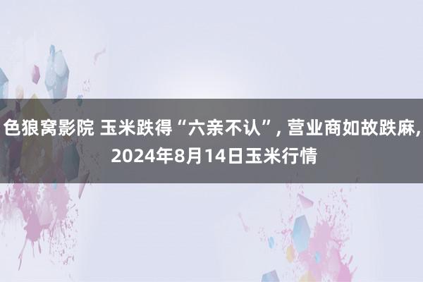 色狼窝影院 玉米跌得“六亲不认”, 营业商如故跌麻, 2024年8月14日玉米行情