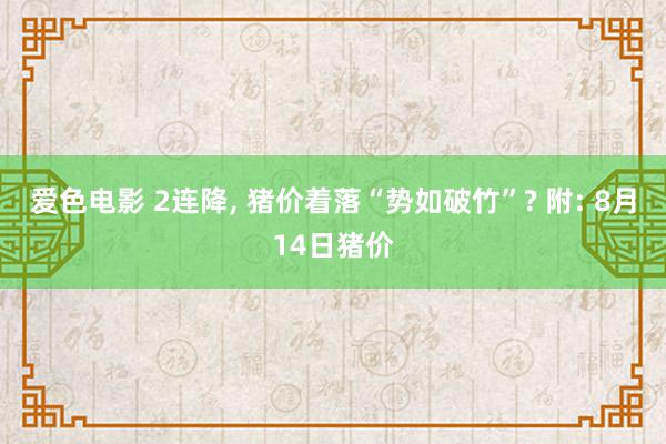 爱色电影 2连降, 猪价着落“势如破竹”? 附: 8月14日猪价