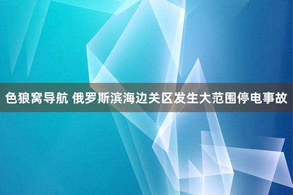 色狼窝导航 俄罗斯滨海边关区发生大范围停电事故