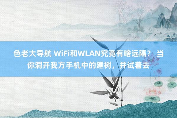 色老大导航 WiFi和WLAN究竟有啥远隔？ 当你洞开我方手机中的建树，并试着去