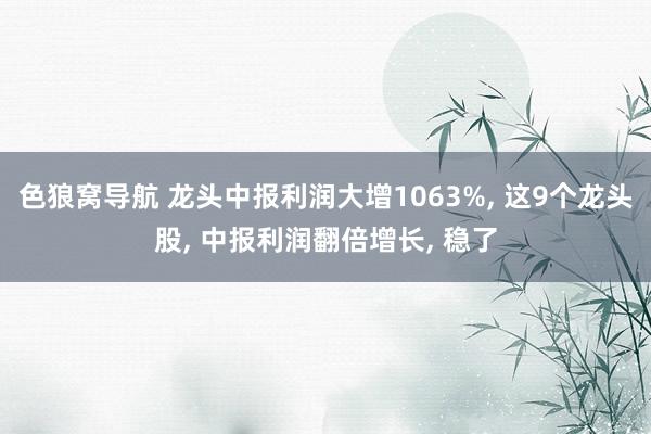 色狼窝导航 龙头中报利润大增1063%, 这9个龙头股, 中报利润翻倍增长, 稳了