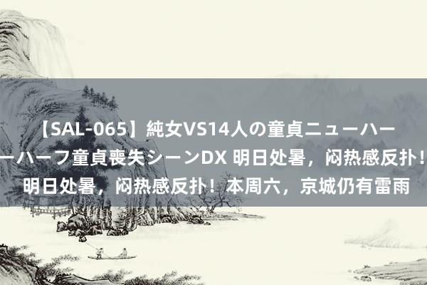 【SAL-065】純女VS14人の童貞ニューハーフ 二度と見れないニューハーフ童貞喪失シーンDX 明日处暑，闷热感反扑！本周六，京城仍有雷雨