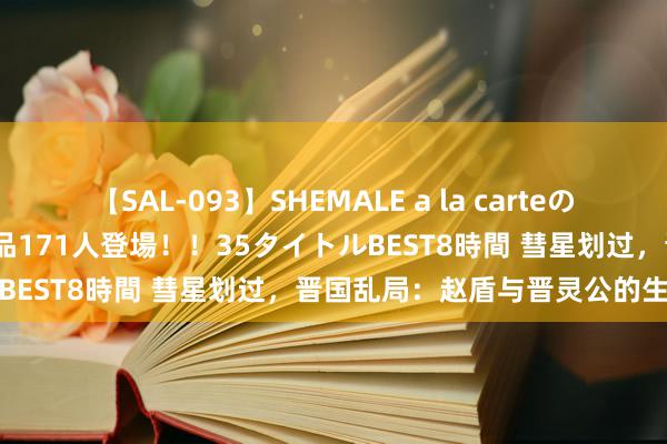 【SAL-093】SHEMALE a la carteの歴史 2008～2011 国内作品171人登場！！35タイトルBEST8時間 彗星划过，晋国乱局：赵盾与晋灵公的生死对决