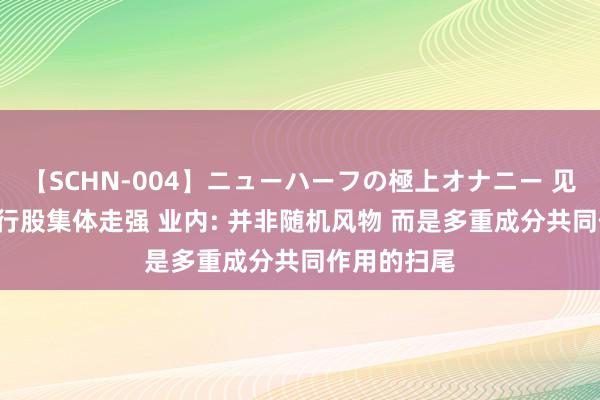 【SCHN-004】ニューハーフの極上オナニー 见证历史! 银行股集体走强 业内: 并非随机风物 而是多重成分共同作用的扫尾