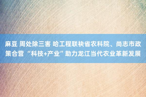 麻豆 周处除三害 哈工程联袂省农科院、尚志市政策合营 “科技+产业”助力龙江当代农业革新发展