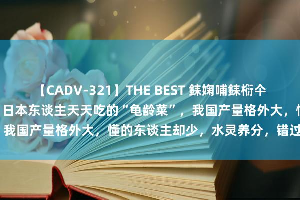 【CADV-321】THE BEST 銇婅哺銇椼仐銇俱仚銆?50浜?鏅傞枔DX 日本东谈主天天吃的“龟龄菜”，我国产量格外大，懂的东谈主却少，水灵养分，错过太可惜了！