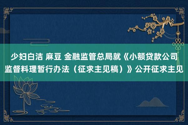 少妇白洁 麻豆 金融监管总局就《小额贷款公司监督料理暂行办法（征求主见稿）》公开征求主见