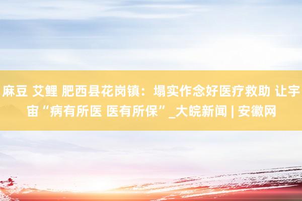 麻豆 艾鲤 肥西县花岗镇：塌实作念好医疗救助 让宇宙“病有所医 医有所保”_大皖新闻 | 安徽网