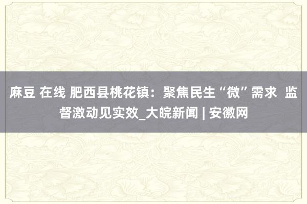 麻豆 在线 肥西县桃花镇：聚焦民生“微”需求  监督激动见实效_大皖新闻 | 安徽网