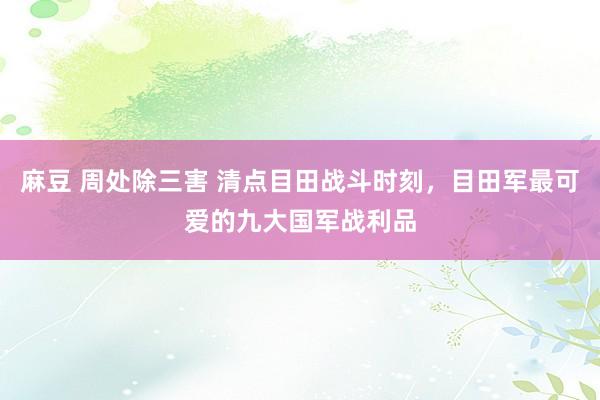 麻豆 周处除三害 清点目田战斗时刻，目田军最可爱的九大国军战利品