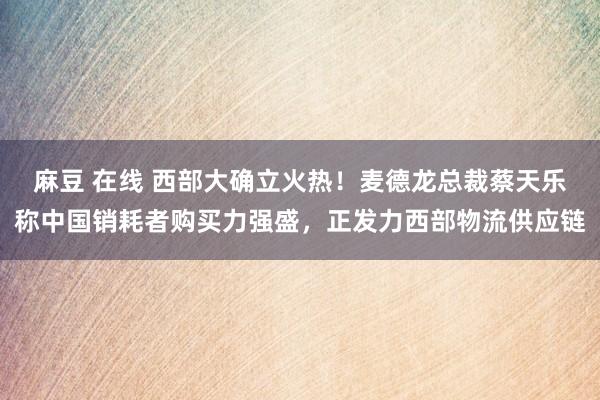 麻豆 在线 西部大确立火热！麦德龙总裁蔡天乐称中国销耗者购买力强盛，正发力西部物流供应链